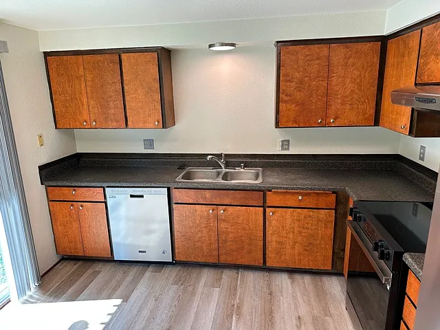 Kitchen with new dishwasher