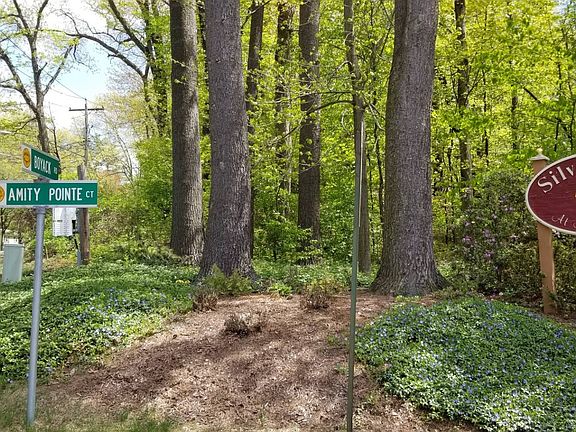 2nd image of 21 Amity Pointe Ct