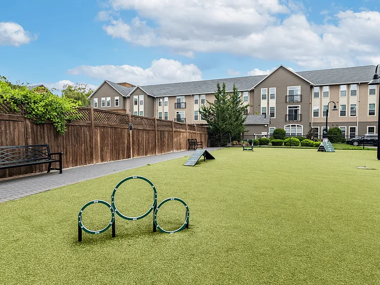 Leash-free dog park with agility games, benches, and lots of grassy area.