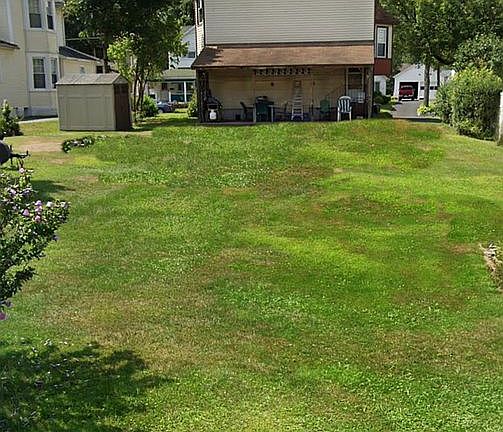 XL Back Yard/ Covered Porch