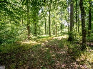 0 Wagers Mill Rd 20+/- Acres, Newnan, GA 30263