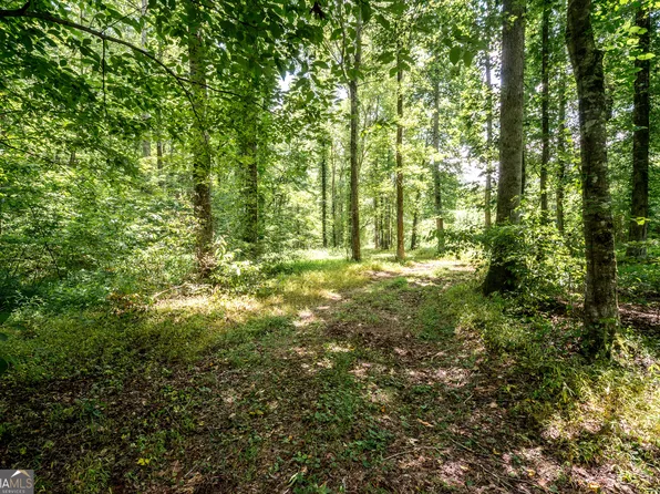 0 Wagers Mill Rd 20+/- Acres, Newnan, GA 30263