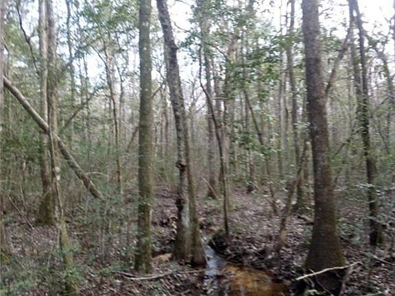 4th image of 19390 Joan Harris Rd