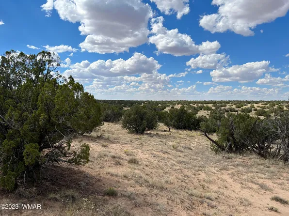 684 Woodland Valley Rnch #6, Saint Johns, AZ 85936
