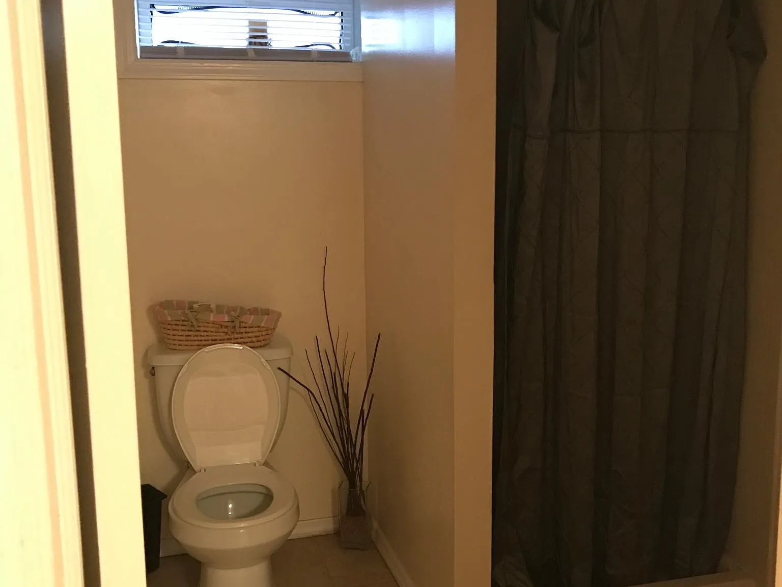 242 Braddock Bellerose Ny Lower — Photo 2