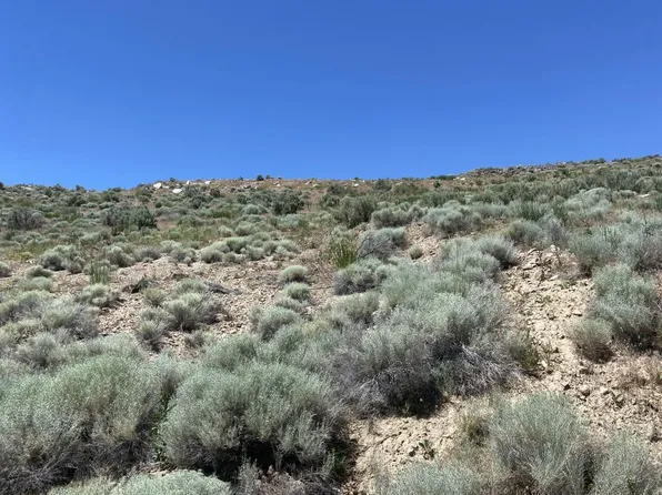 Primeaux Canyon Rd, Carlin, NV 89822