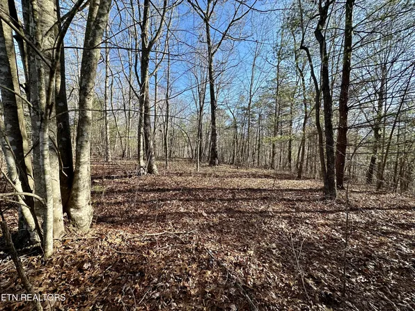 Woodland Trl Lot 17, Sunbright, TN 37872
