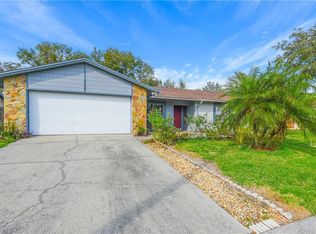 704 Caliente Dr, Brandon, FL 33511