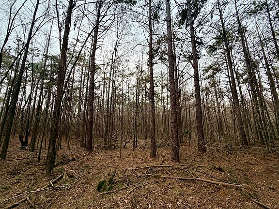 2nd image of Alcorn County Rd #106