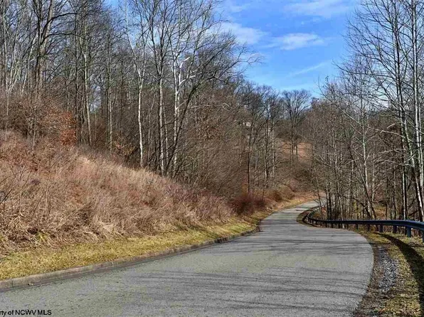 58 Mountainview Dr, Mount Clare, WV 26408