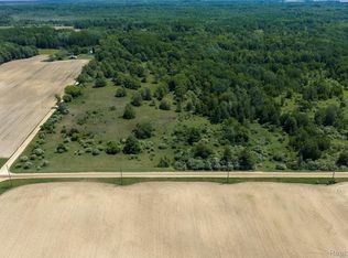 PARCEL Freiburger Rd #A, Snover, MI 48472