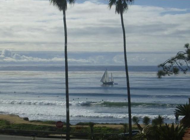 View from the living room