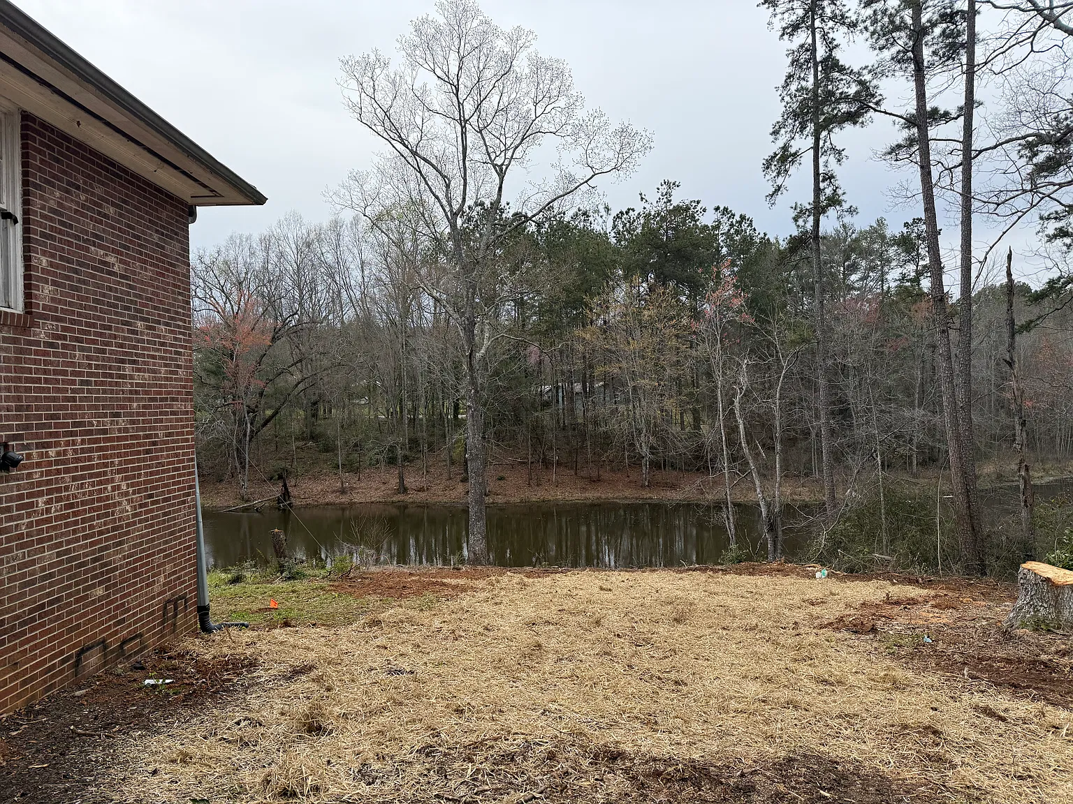 2 bed, 900 sqft, $1,400 — Photo 2