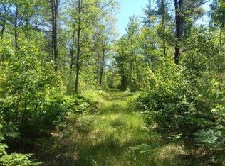 Cedar Run Rd, Mio, MI 48647