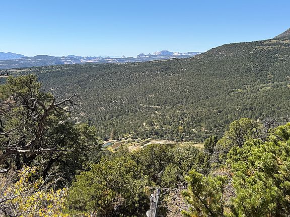 4th image of 4 S Mineral Springs Rd