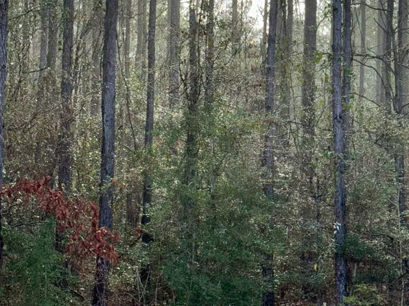 0 Hilltop Dr Lot 422, Carriere, MS 39426