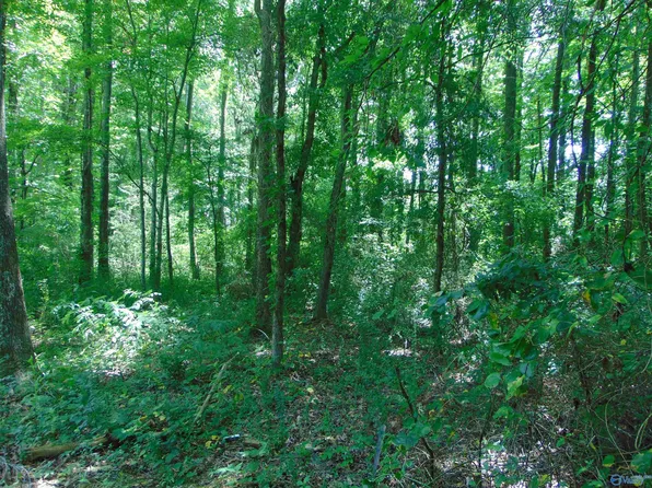 1 Pulaski Pike NW, Toney, AL 35773