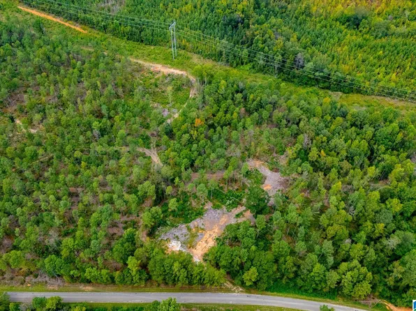 County Road 99 #0, Wedowee, AL 36278