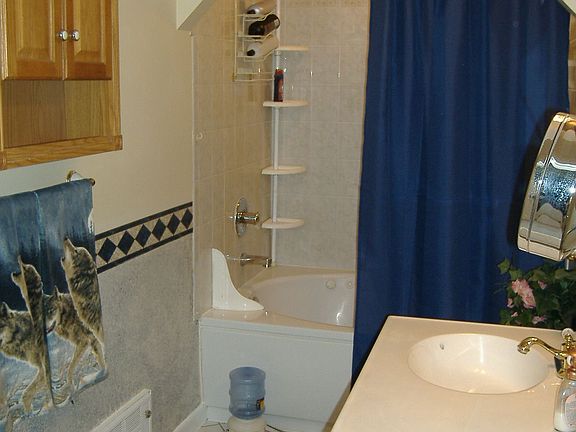 UPDATED BATH WITH JACUZZI TUB