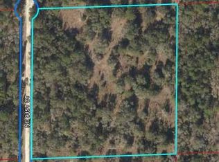 0 NE 91st Ct, Bronson, FL 32621