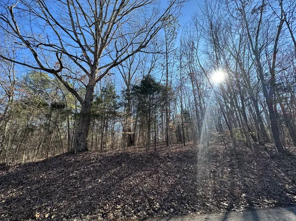 0 Pulley St Lot 4, Erin, TN 37061