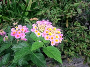 1206 Lyles Loop, Laredo, TX 78045