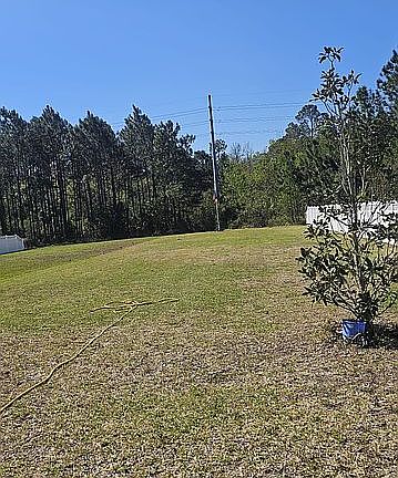 4th image of 95 Pine Candle Way
