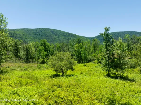 201 Cloos Road, Jewett, NY 12444