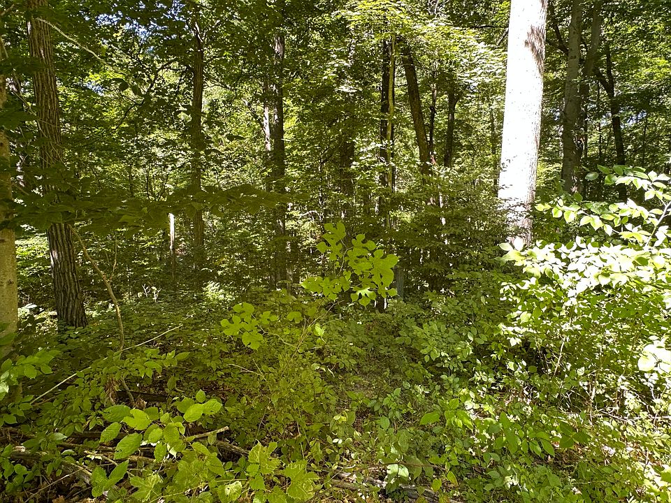 2nd image of 0 W Thunder Valley Ln