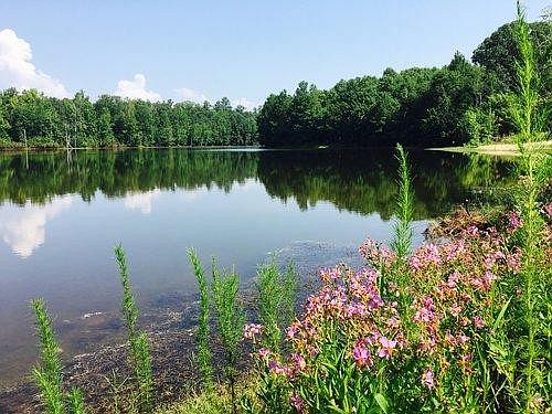 5th image of 30 Lost Lake Cir Lot 30