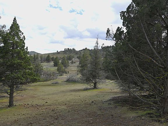 4th image of LOT 127 Willit Way