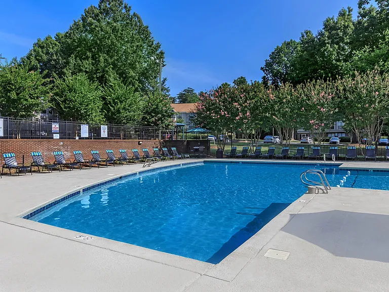 Sparkling Swimming Pool with Lounge Chairs Surrounded by Greenery