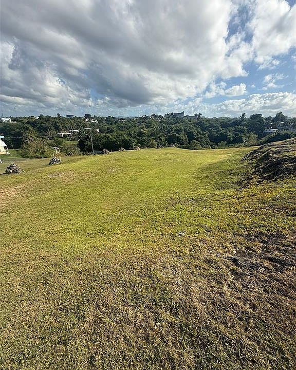 1st image of Colinas De Palmarito