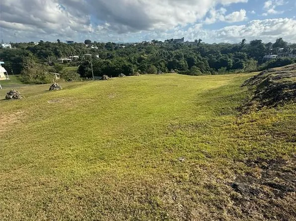 Colinas De Palmarito, Arecibo, PR 00612