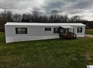 400 Green Farms Rd, Falls Of Rough, KY 40119