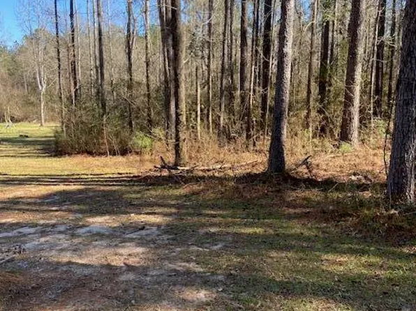 0 Oral Church Rd, Sumrall, MS 39482