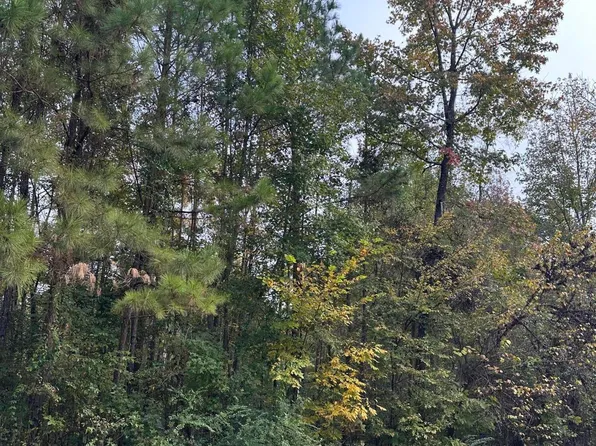 McRaven Rd, Clinton, MS 39056