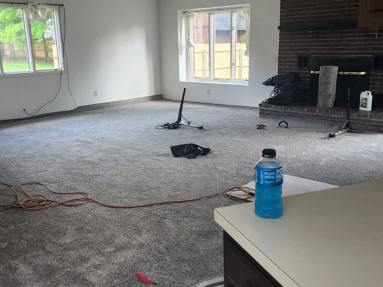 New Carpet in 2023
