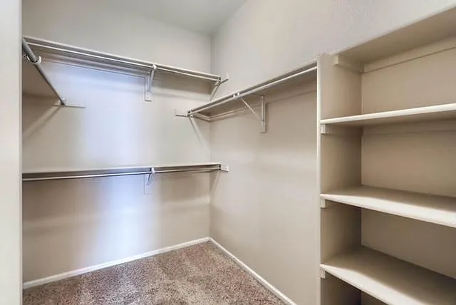 Master Closet