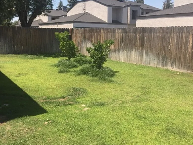 3512 Snowflake Ct — Photo 13