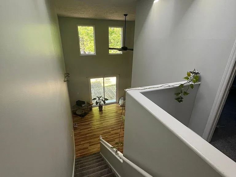 6328 Wrightsville Ave #D4 — Photo 19