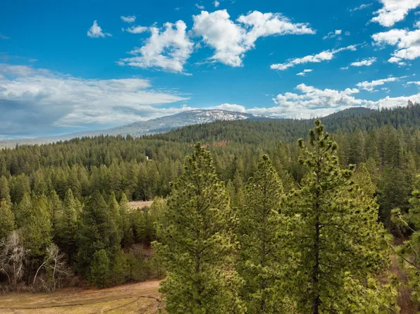 179XX E Belmont Rd Lot 3, Mica, WA 99023