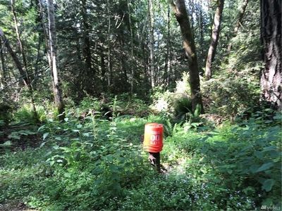 12809 Lovass Rd, Anderson Island, WA, 98303
