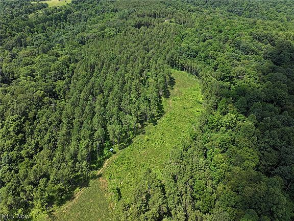 5th image of 0 E Reinersville Rd Tract D