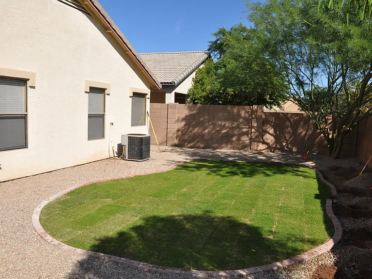 Backyard