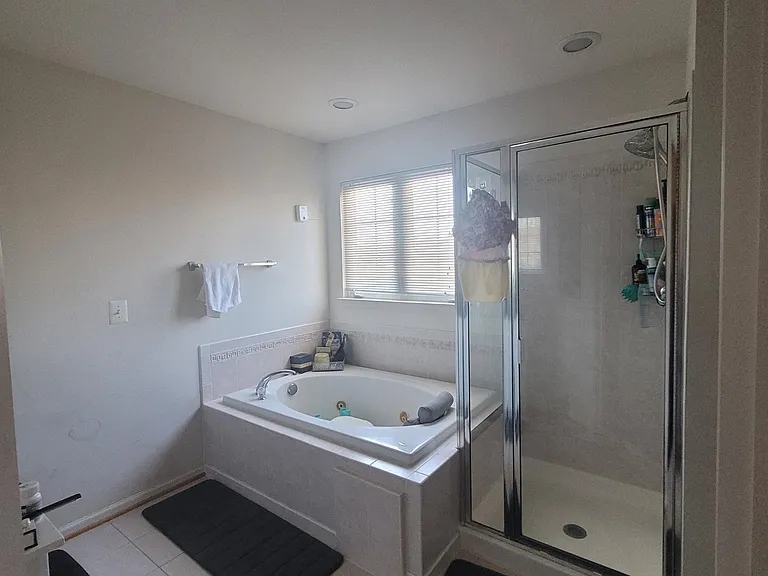 master bathroom suite with separate shower and tub