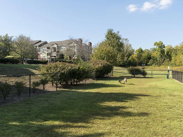 Wyndchase Aspen Grove — Photo 30