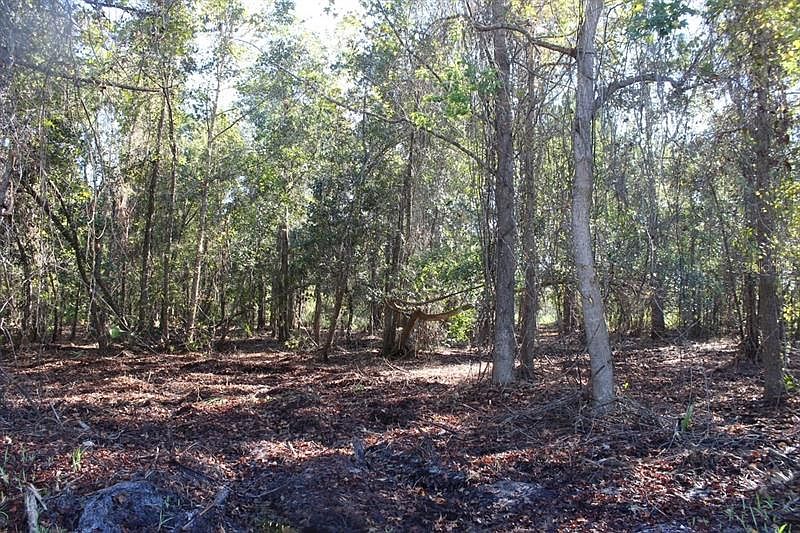 S Volusia Ave, Pierson, FL 32180 Zillow