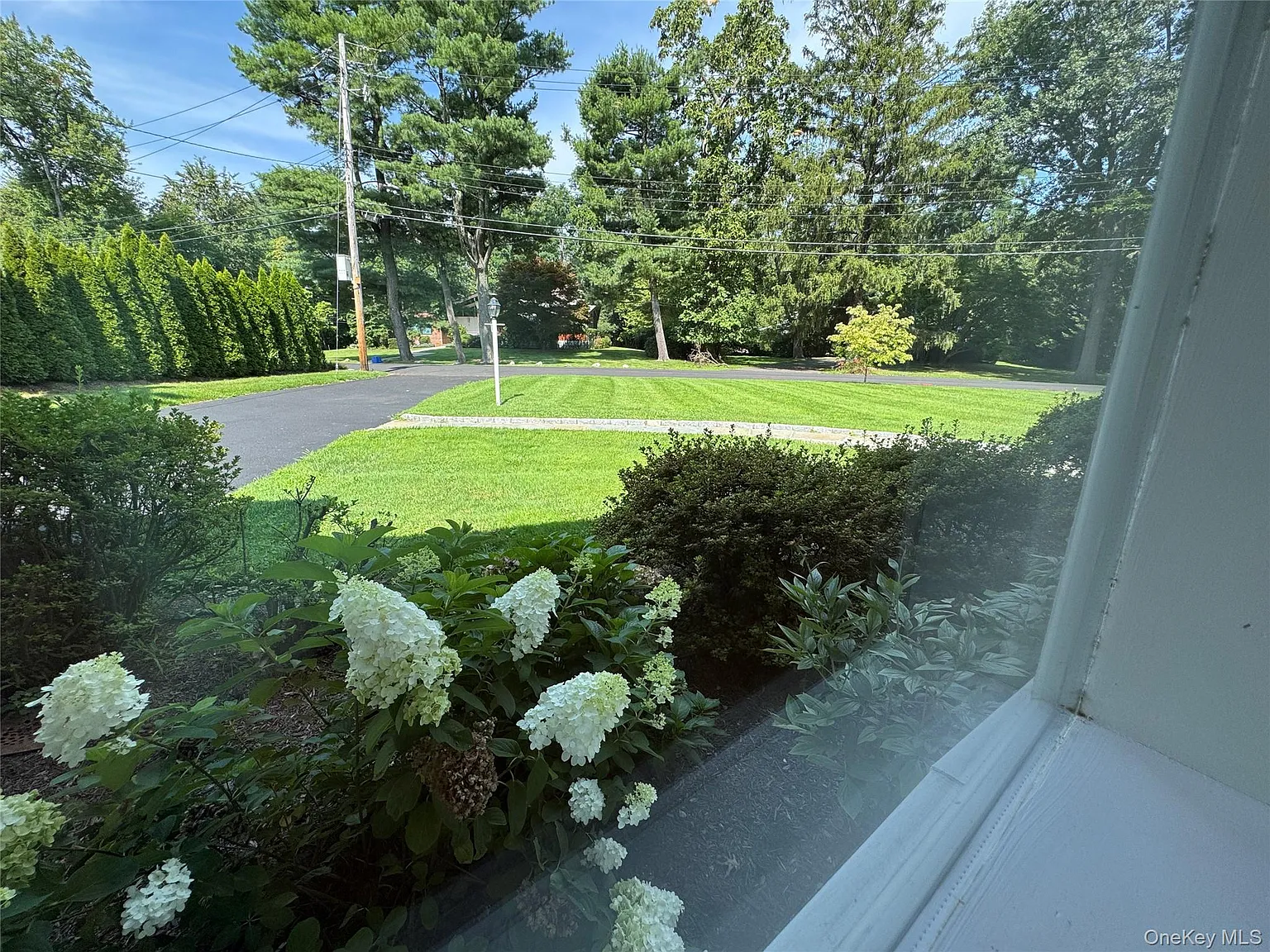 4 bed, 3.0 bath, 2416 sqft, $9,500 — Photo 4
