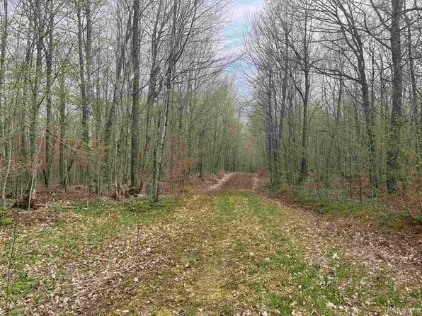Triplett Ln, Ironwood, MI 49938